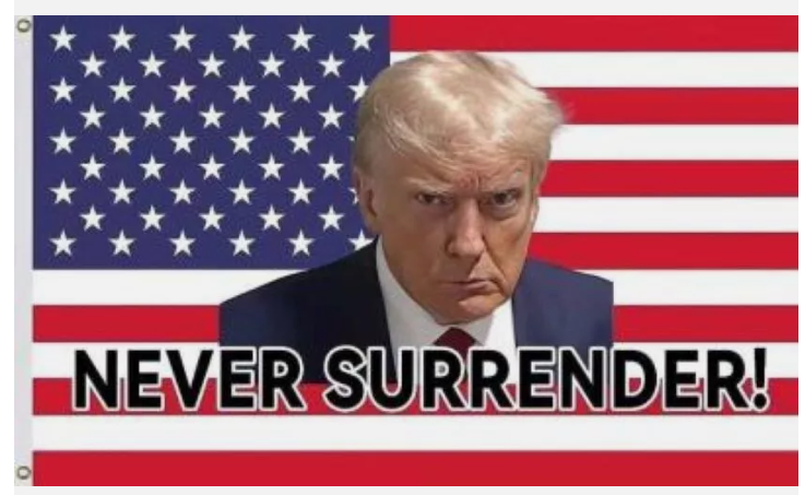 TRUMP - NEVER SURRENDER! FLAG